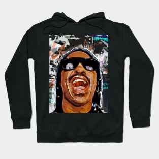 Stevie wonder pop art Hoodie